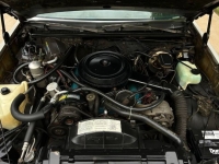 1980 Oldsmobile Cutlass for sale in Michigan (ID-161146)