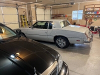 1980 Oldsmobile Cutlass for sale in Michigan (ID-161146)