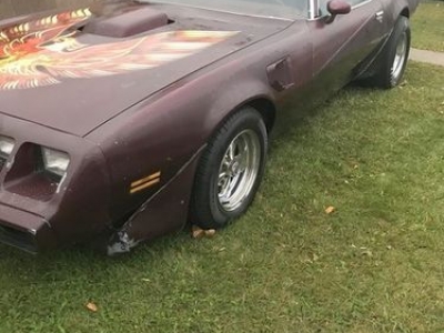 1980 Pontiac Firebird for sale