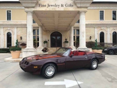1980 Pontiac Firebird for sale