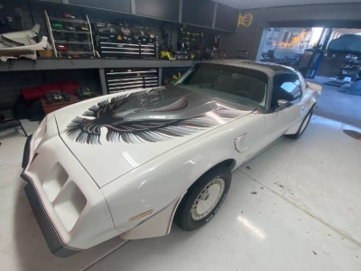 1980 Pontiac Firebird for sale