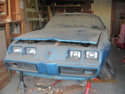 1980 Pontiac Firebird for sale