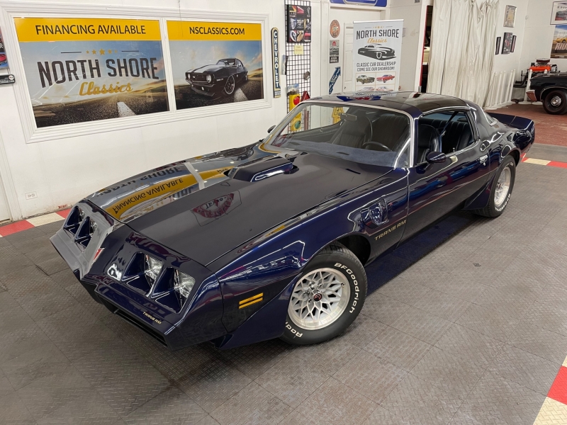 1980 Pontiac Firebird for sale in Mundelein, Illinois (ID-101744) 1980 Pontiac Firebird for sale in Mundelein, Illinois (ID-101744)