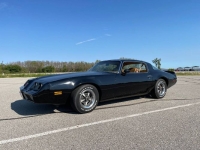 1980 Pontiac Firebird for sale in Michigan (ID-106197)