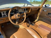 1980 Pontiac Firebird for sale in Michigan (ID-106197)