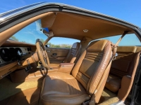 1980 Pontiac Firebird for sale in Michigan (ID-106197)