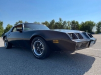 1980 Pontiac Firebird for sale in Michigan (ID-106197)