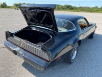 1980 Pontiac Firebird for sale in Michigan (ID-106197)