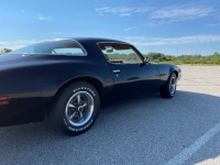 1980 Pontiac Firebird for sale in Michigan (ID-106197)