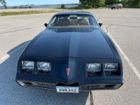 1980 Pontiac Firebird for sale in Michigan (ID-106197)