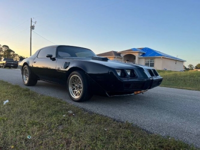 1980 Pontiac Firebird for sale