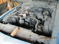 1980 Pontiac Firebird for sale in Michigan (ID-116585)
