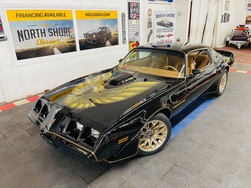 1980 Pontiac Firebird for sale in Mundelein, Illinois (ID-118558) 1980 Pontiac Firebird for sale in Mundelein, Illinois (ID-118558)