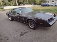 1980 Pontiac Firebird for sale in Michigan (ID-120950)