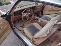 1980 Pontiac Firebird for sale in Michigan (ID-120950)