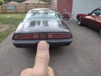 1980 Pontiac Firebird for sale in Michigan (ID-120950)