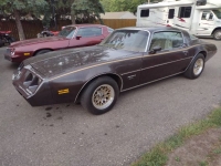 1980 Pontiac Firebird for sale in Michigan (ID-120950)