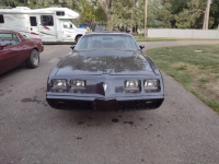 1980 Pontiac Firebird for sale in Michigan (ID-120950)