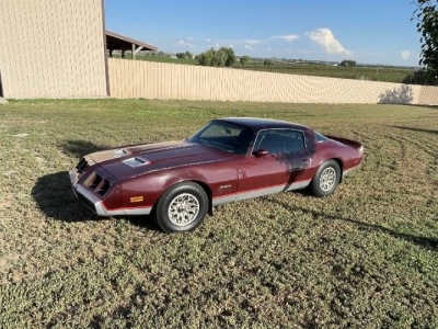 1980 Pontiac Firebird for sale