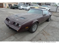 1980 Pontiac Firebird for sale in Riverhead, New York (ID-132612)