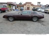 1980 Pontiac Firebird for sale in Riverhead, New York (ID-132612)