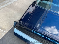 1980 Pontiac Firebird for sale in Riverhead, New York (ID-134978)
