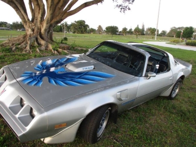 1980 Pontiac Firebird for sale