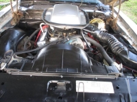 1980 Pontiac Firebird for sale in Michigan (ID-141835)