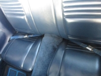 1980 Pontiac Firebird for sale in Michigan (ID-141835)