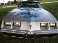 1980 Pontiac Firebird for sale in Michigan (ID-141835)