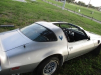 1980 Pontiac Firebird for sale in Michigan (ID-141835)