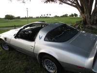 1980 Pontiac Firebird for sale in Michigan (ID-141835)