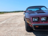 1980 Pontiac Firebird for sale in Riverhead, New York (ID-144239)