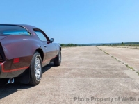 1980 Pontiac Firebird for sale in Riverhead, New York (ID-144239)