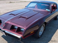 1980 Pontiac Firebird for sale in Riverhead, New York (ID-144239)