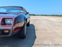 1980 Pontiac Firebird for sale in Riverhead, New York (ID-144239)
