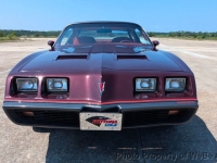 1980 Pontiac Firebird for sale in Riverhead, New York (ID-144239)
