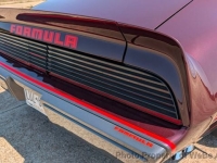 1980 Pontiac Firebird for sale in Riverhead, New York (ID-144239)