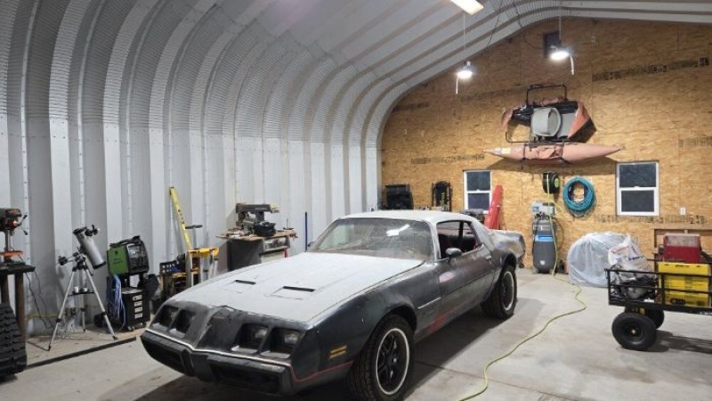 1980 Pontiac Firebird for sale in Michigan (ID-144801)