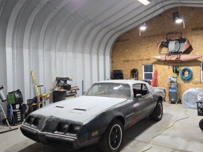 1980 Pontiac Firebird for sale