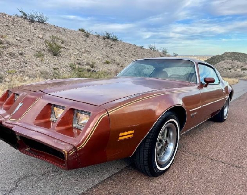 1980 Pontiac Firebird for sale in Michigan (ID-161682)
