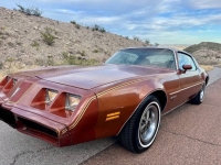 1980 Pontiac Firebird for sale in Michigan (ID-161682)
