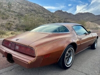 1980 Pontiac Firebird for sale in Michigan (ID-161682)