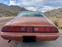1980 Pontiac Firebird for sale in Michigan (ID-161682)