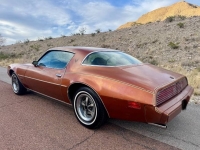 1980 Pontiac Firebird for sale in Michigan (ID-161682)