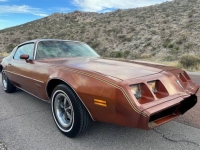 1980 Pontiac Firebird for sale in Michigan (ID-161682)