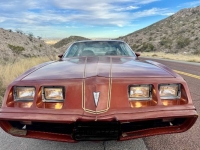 1980 Pontiac Firebird for sale in Michigan (ID-161682)