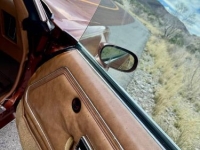 1980 Pontiac Firebird for sale in Michigan (ID-161682)