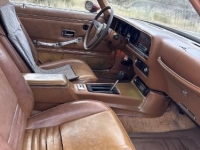 1980 Pontiac Firebird for sale in Michigan (ID-161682)
