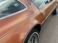 1980 Pontiac Firebird for sale in Michigan (ID-161682)